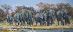 Elephants at the Waterhole - Kruger Park | 2014 | Oil on Canvas | 40 X 80 cm